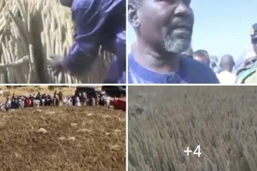 ÉDITORIAL | AZEYE : EL HADJ AMANI JIBALÉ, QUAND LA TERRE NOURRICIÈRE DEVIENT UN INSTRUMENT DE PATRIOTISME ET DE SOUVERAINETÉ NATIONALE.