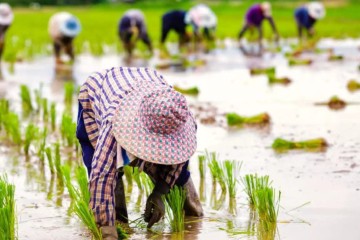 Chronique du Lundi : Promouvoir la production nationale